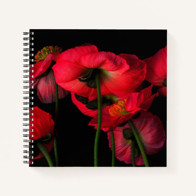 Flowers | Red Poppies Notebook (Front)