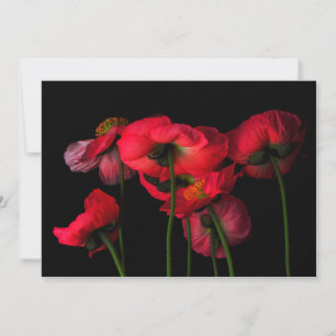Flowers   Red Poppies Thank You Card