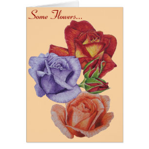 flowers red roses and rose buds floral