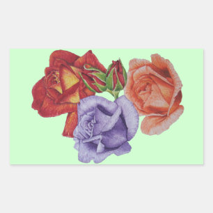 flowers red roses and rose buds floral rectangular sticker