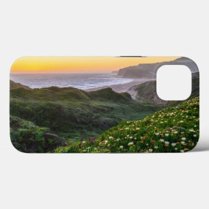 Flowers   Santa Cruz California iPhone 13 Case