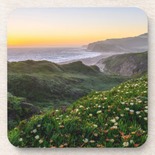 Flowers   Santa Cruz California Coaster