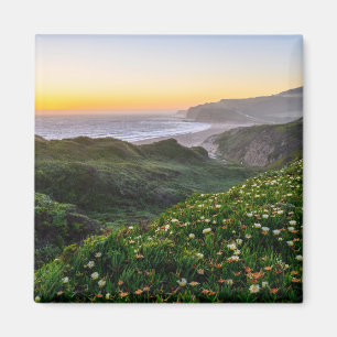 Flowers   Santa Cruz California Magnet