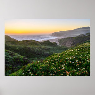 Flowers   Santa Cruz California Poster