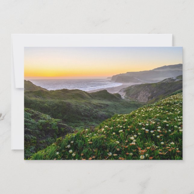 Flowers | Santa Cruz California Thank You Card (Front)