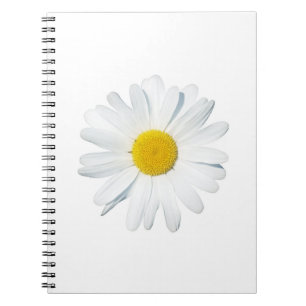 Flowers Single Daisy Notebook