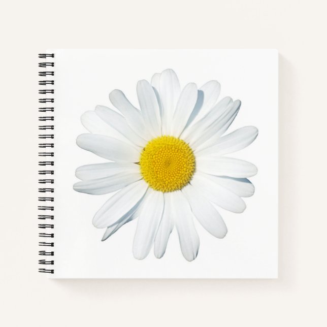 Flowers | Single Daisy Notebook (Front)