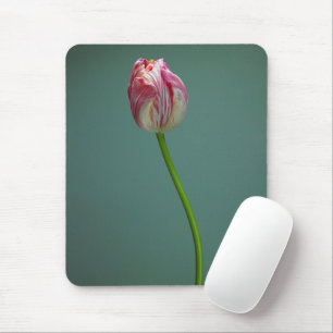 Flowers   Single Tulip Flower Mouse Mat