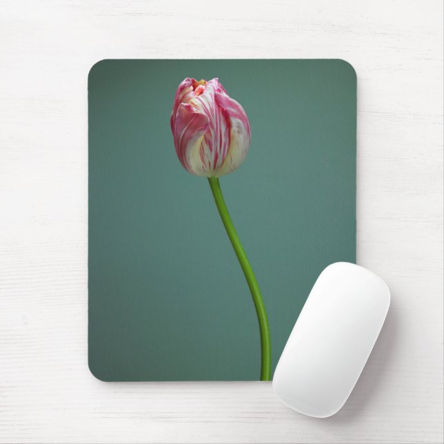 Flowers | Single Tulip Flower Mouse Mat (With Mouse)