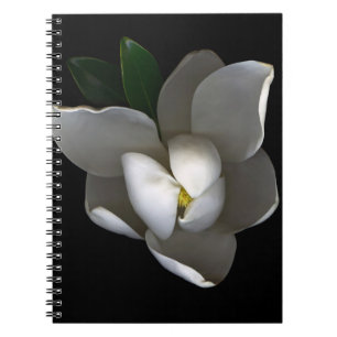 Flowers Single White Magnolia Blossom Notebook