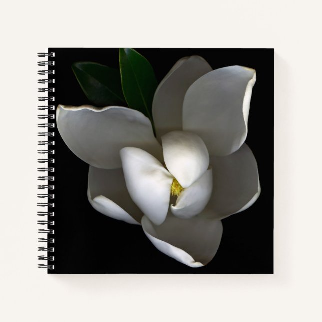 Flowers | Single White Magnolia Blossom Notebook (Front)
