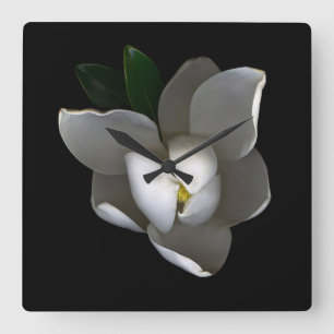 Flowers   Single White Magnolia Blossom Square Wall Clock