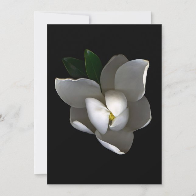 Flowers | Single White Magnolia Blossom Thank You Card (Front)