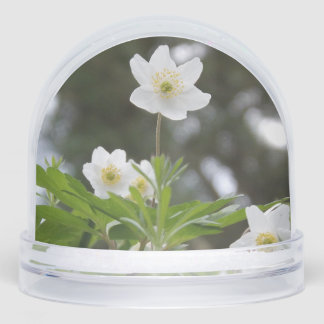 flowers snowglobe