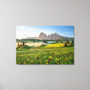 Flowers Spring Alpe di Siusi Langkofel Canvas Print