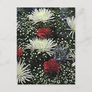Flowers - Starburst Vero Beach 2010 The MUSEUM Zaz Postcard