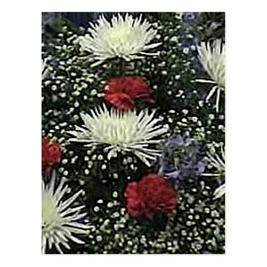 Flowers - Starburst Vero Beach 2010 The MUSEUM Zaz Postcard