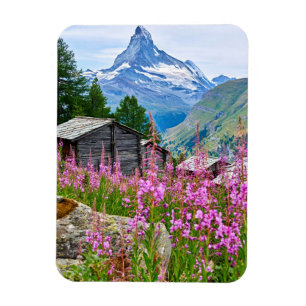 Flowers   Summer Matterhorn Switzerland Magnet