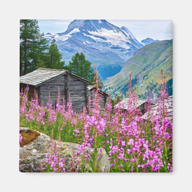 Flowers | Summer Matterhorn Switzerland Magnet (Front)