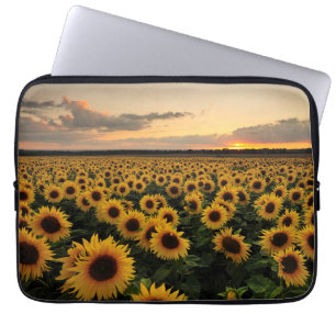 Flowers   Sunflower Field Laptop Sleeve