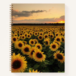Flowers Sunflower Field Notebook