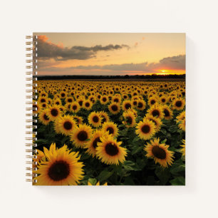 Flowers Sunflower Field Notebook