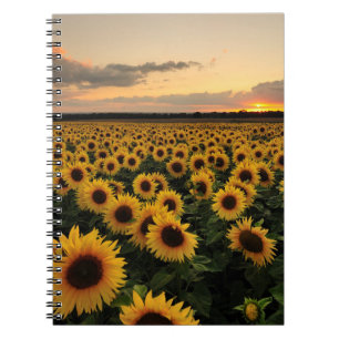 Flowers Sunflower Field Notebook