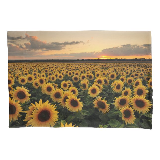 Flowers | Sunflower Field Pillowcase (Front)