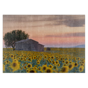 Flowers Sunflower Field Provence, France Cutting Board