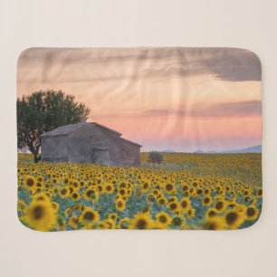 Flowers Sunflower Field Provence, France Sherpa Blanket