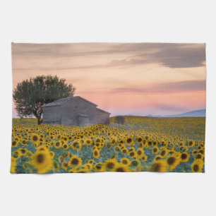 Flowers   Sunflower Field Provence, France Tea Towel