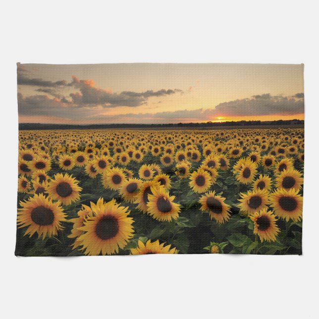 Flowers | Sunflower Field Tea Towel (Horizontal)