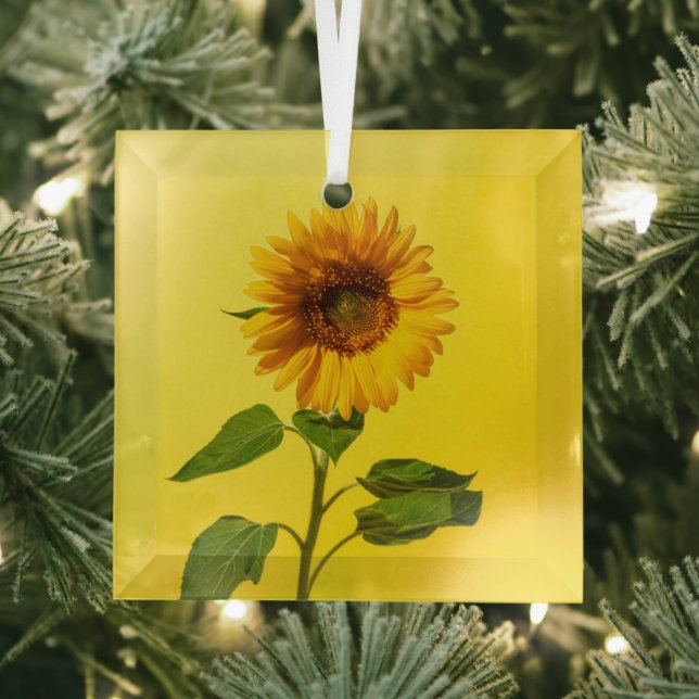 Flowers | Sunflower on Yellow Glass Tree Decoration (Insitu)
