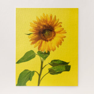 Flowers Sunflower on Yellow Jigsaw Puzzle