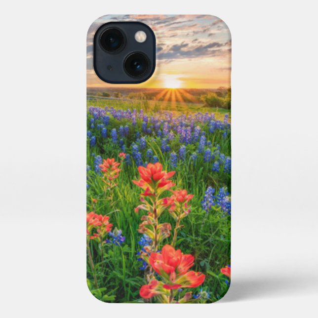 Flowers | Texas Bluebonnets & Indian Paintbrush iPhone Case (Back)