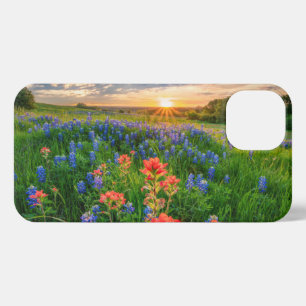 Flowers   Texas Bluebonnets & Indian Paintbrush iPhone 13 Case