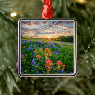 Flowers Texas Bluebonnets & Indian Paintbrush Metal Tree Decoration