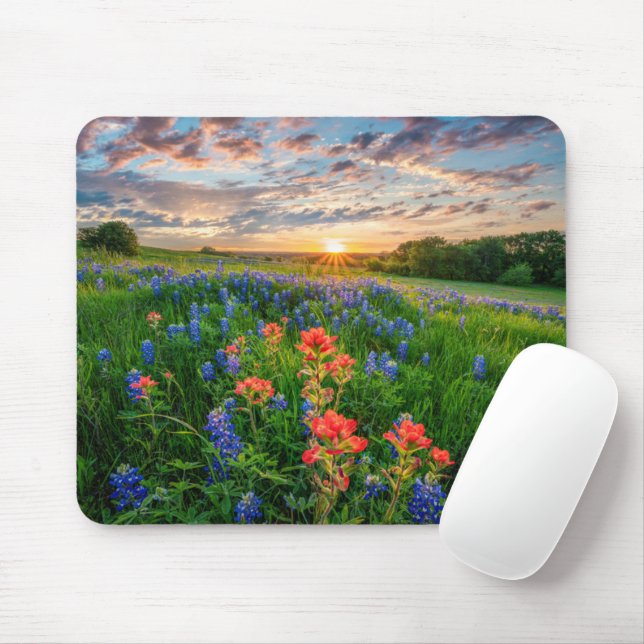 Flowers | Texas Bluebonnets & Indian Paintbrush Mouse Mat (With Mouse)
