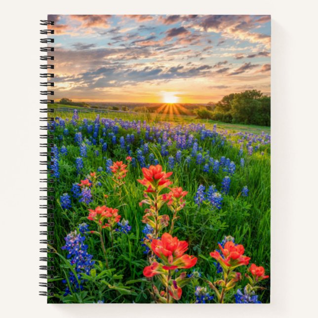 Flowers | Texas Bluebonnets & Indian Paintbrush Notebook (Front)