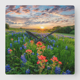 Flowers   Texas Bluebonnets & Indian Paintbrush Square Wall Clock