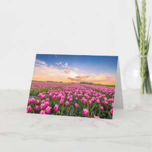 Flowers   Tulips South Holland, Netherlands Card