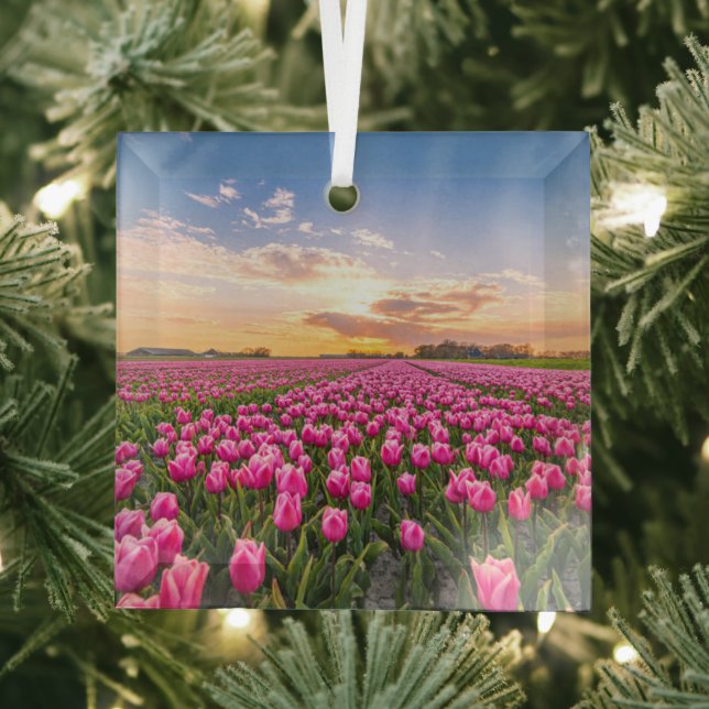 Flowers | Tulips South Holland, Netherlands Glass Tree Decoration (Insitu)
