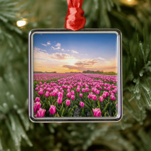 Flowers   Tulips South Holland, Netherlands Metal Tree Decoration