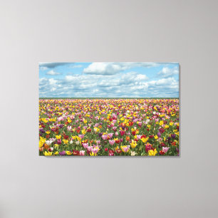 Flowers Tulips Willamette Valley Oregon Canvas Print