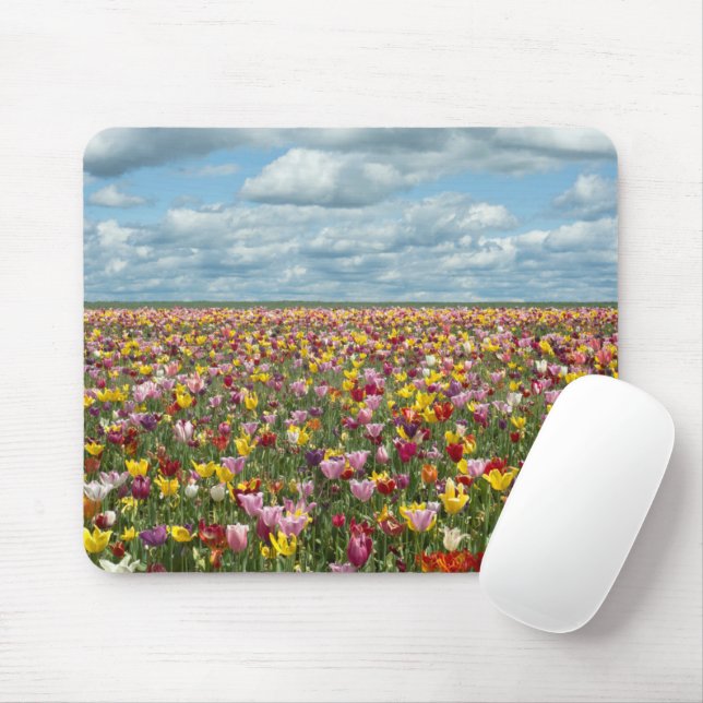 Flowers | Tulips Willamette Valley Oregon Mouse Mat (With Mouse)