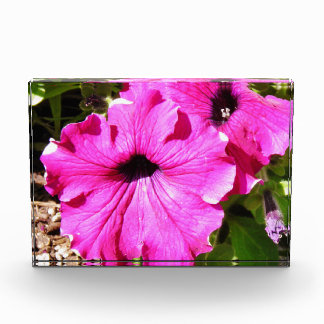 Flowers ver 2.0 photo block