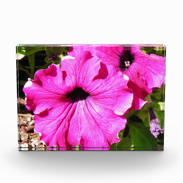 Flowers ver 2.0 photo block (Front)