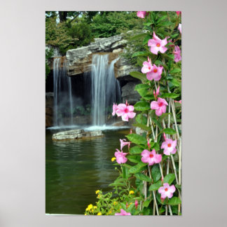 Flowers & Waterfall Poster