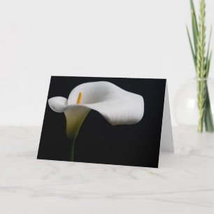 Flowers   White Calla Lily Card