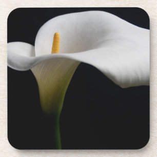 Flowers   White Calla Lily Coaster
